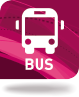 Bus, projet Cénovia
