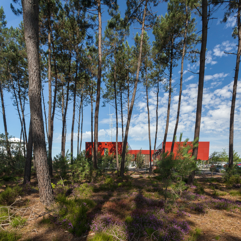 LOCAUX D’ACTIVITES NEUFS – ZAC DU FOUILLET, LE MANS SUD-EST